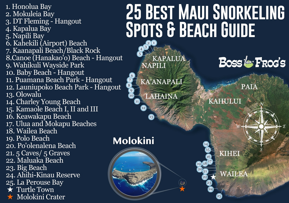 Amazing Tours and Excursions that you need to consider while in Hawaii!