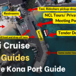 Hawaii Cruise Ultimate Kona Port Guide