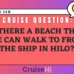 Is there a beach that we can walk to from the ship in Hilo?