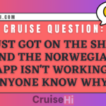 Just got on the ship and the Norwegian app isn't working. Anyone know why?